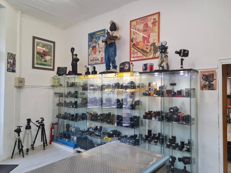 615716402_1350122863581947_9181787792530270756_n